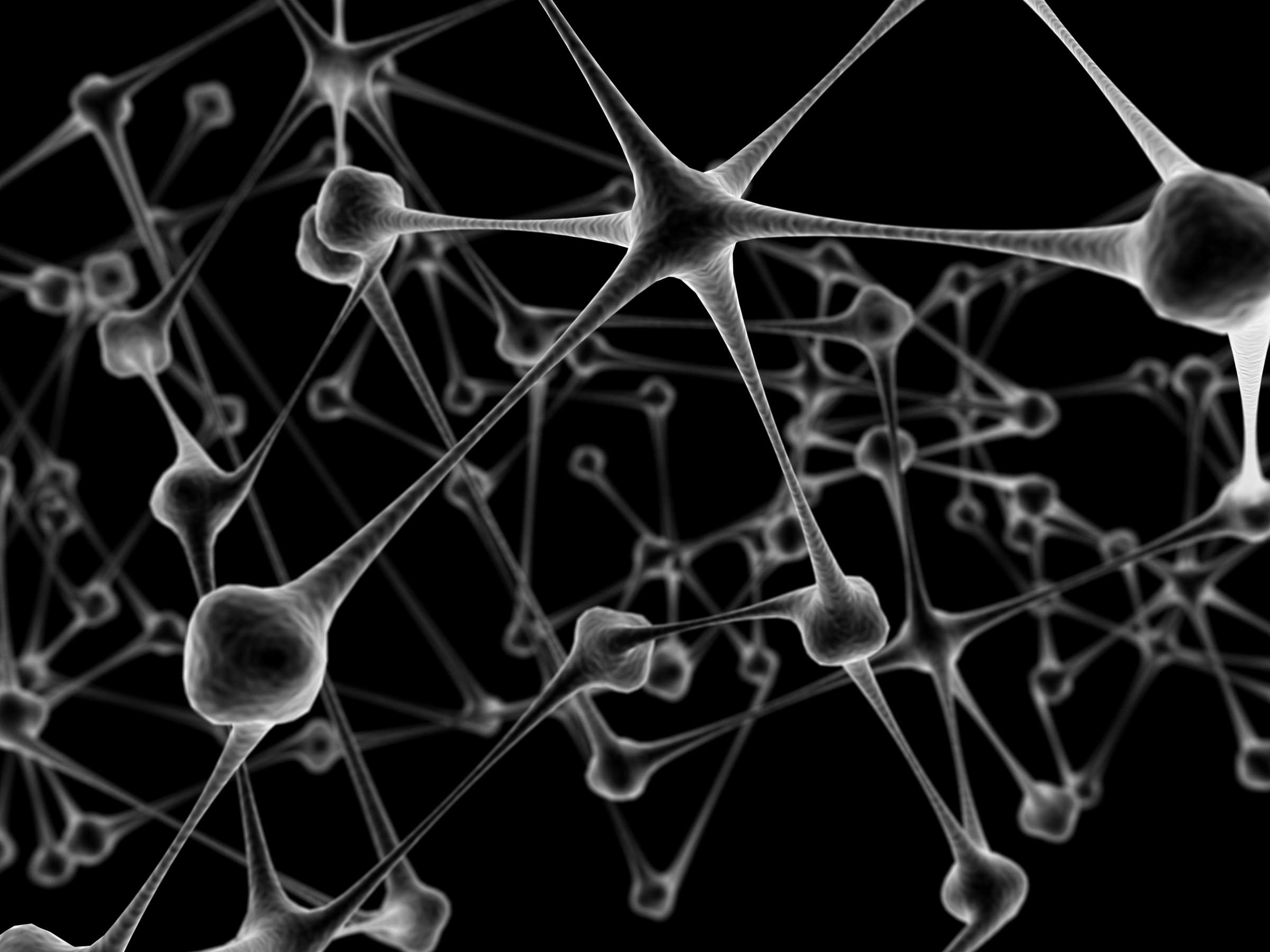Opiate Receptors